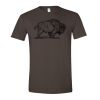 Softstyle® T-Shirt ss Thumbnail